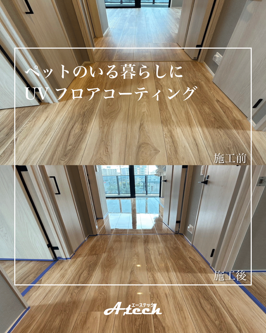 那覇市　ペットのいる暮らしのコーテイング